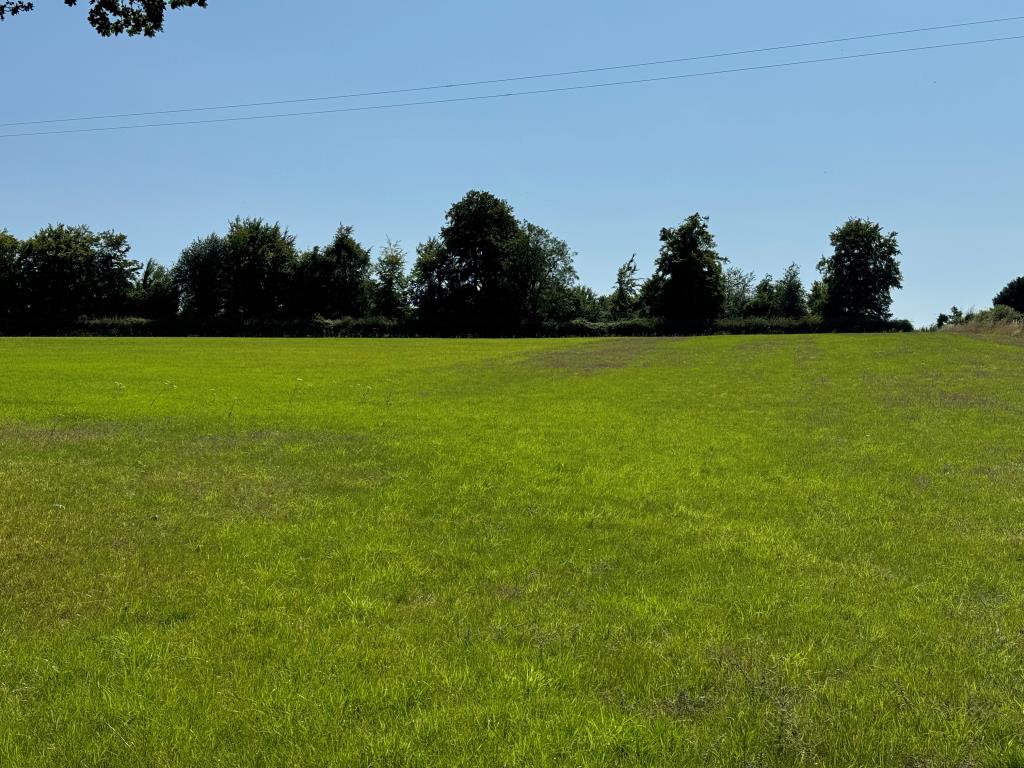 Lot: 75 - FARM BUILDINGS WITH POTENTIAL AND SIX ACRES IN A BEAUTIFUL RURAL SETTING - Looking Up The Site From The bottom Gate